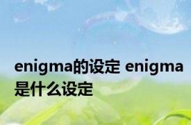 enigma的设定 enigma是什么设定