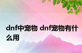 dnf中宠物 dnf宠物有什么用 