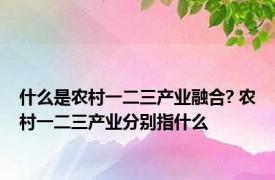 什么是农村一二三产业融合? 农村一二三产业分别指什么