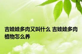 吉娃娃多肉又叫什么 吉娃娃多肉植物怎么养