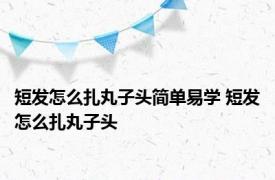 短发怎么扎丸子头简单易学 短发怎么扎丸子头