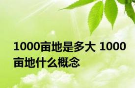 1000亩地是多大 1000亩地什么概念