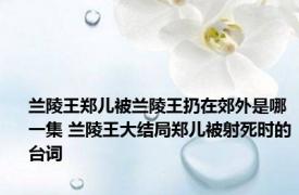 兰陵王郑儿被兰陵王扔在郊外是哪一集 兰陵王大结局郑儿被射死时的台词