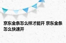 京东金条怎么样才能开 京东金条怎么快速开