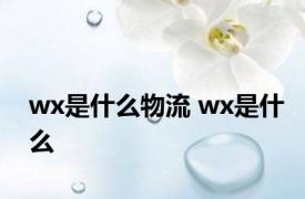 wx是什么物流 wx是什么