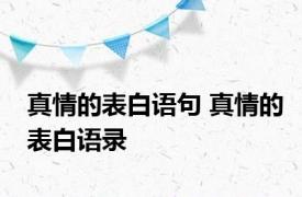 真情的表白语句 真情的表白语录