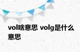 vol啥意思 volg是什么意思