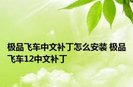 极品飞车中文补丁怎么安装 极品飞车12中文补丁 