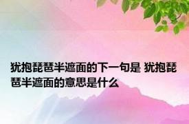 犹抱琵琶半遮面的下一句是 犹抱琵琶半遮面的意思是什么