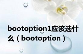 bootoption1应该选什么（bootoption）