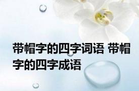 带帽字的四字词语 带帽字的四字成语