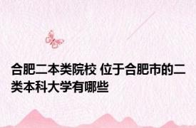 合肥二本类院校 位于合肥市的二类本科大学有哪些