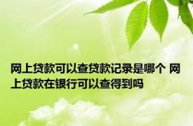 网上贷款可以查贷款记录是哪个 网上贷款在银行可以查得到吗