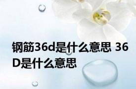 钢筋36d是什么意思 36D是什么意思