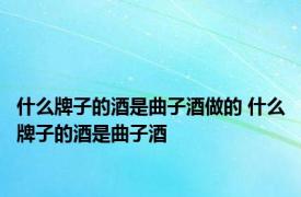 什么牌子的酒是曲子酒做的 什么牌子的酒是曲子酒