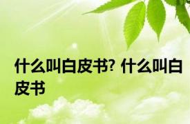 什么叫白皮书? 什么叫白皮书