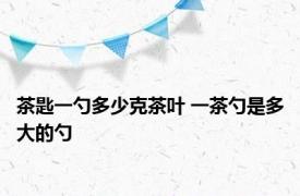 茶匙一勺多少克茶叶 一茶勺是多大的勺