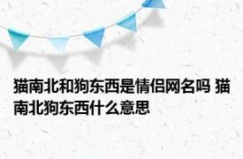 猫南北和狗东西是情侣网名吗 猫南北狗东西什么意思