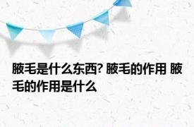 腋毛是什么东西? 腋毛的作用 腋毛的作用是什么