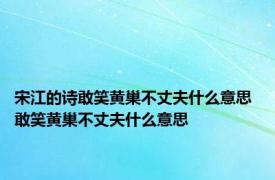 宋江的诗敢笑黄巢不丈夫什么意思 敢笑黄巢不丈夫什么意思