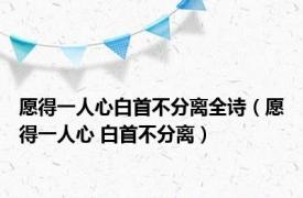 愿得一人心白首不分离全诗（愿得一人心 白首不分离）