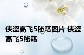 侠盗高飞5秘籍图片 侠盗高飞5秘籍 