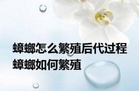 蟑螂怎么繁殖后代过程 蟑螂如何繁殖