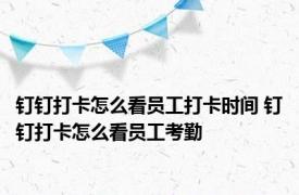 钉钉打卡怎么看员工打卡时间 钉钉打卡怎么看员工考勤