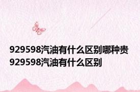 929598汽油有什么区别哪种贵 929598汽油有什么区别