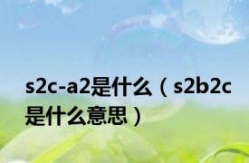 s2c-a2是什么（s2b2c是什么意思）