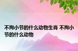 不拘小节的什么动物生肖 不拘小节的什么动物