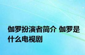 伽罗扮演者简介 伽罗是什么电视剧