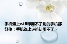 手机连上wifi却用不了别的手机都好使（手机连上wifi却用不了）