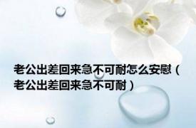 老公出差回来急不可耐怎么安慰（老公出差回来急不可耐）