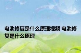 电池修复是什么原理视频 电池修复是什么原理