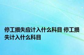 停工损失应计入什么科目 停工损失计入什么科目