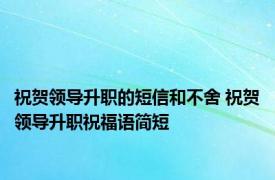 祝贺领导升职的短信和不舍 祝贺领导升职祝福语简短