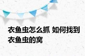 衣鱼虫怎么抓 如何找到衣鱼虫的窝