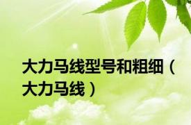 大力马线型号和粗细（大力马线）