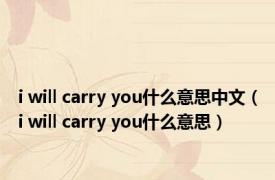 i will carry you什么意思中文（i will carry you什么意思）