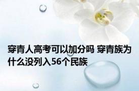 穿青人高考可以加分吗 穿青族为什么没列入56个民族