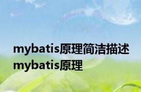 mybatis原理简洁描述 mybatis原理