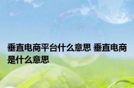 垂直电商平台什么意思 垂直电商是什么意思