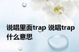 说唱里面trap 说唱trap什么意思