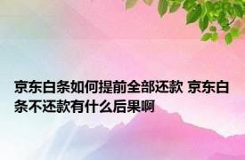 京东白条如何提前全部还款 京东白条不还款有什么后果啊