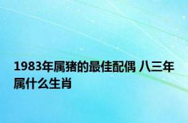 1983年属猪的最佳配偶 八三年属什么生肖