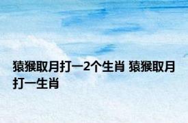 猿猴取月打一2个生肖 猿猴取月打一生肖