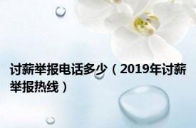 讨薪举报电话多少（2019年讨薪举报热线）