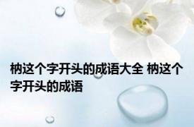 枘这个字开头的成语大全 枘这个字开头的成语