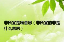 非所宜是啥意思（非所宜的非是什么意思）